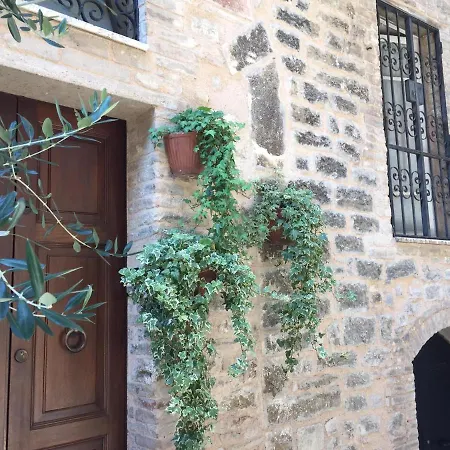 Incantevole In Pieno Centro Storico Apartamento *